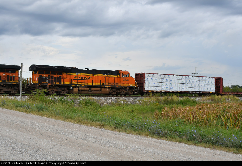 BNSF 3737 Roster shot